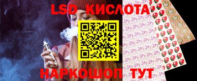 винт Шелехов