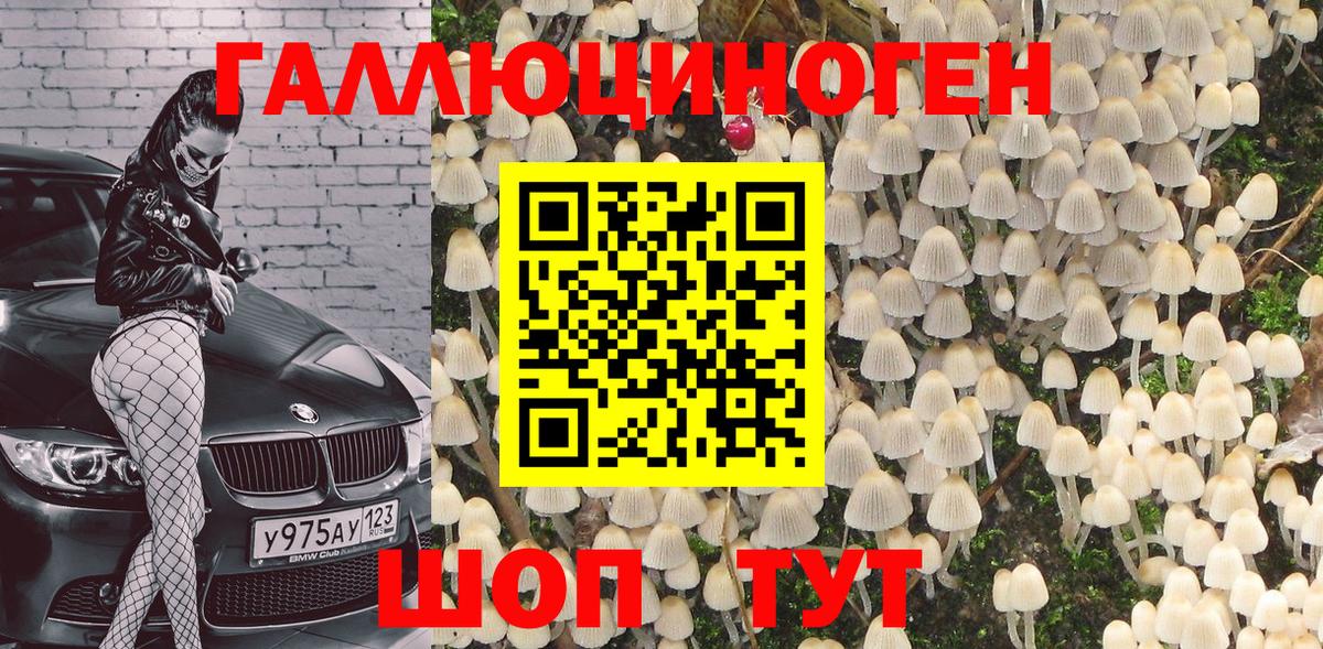 Псилоцибиновые грибы прущие грибы Белая Калитва