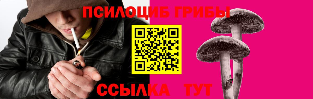 Белая Калитва  Псилоцибиновые грибы Psilocybe  Вход с VPN 